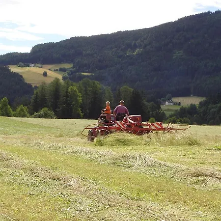 Oberholzlhof Farm stay Bolzano